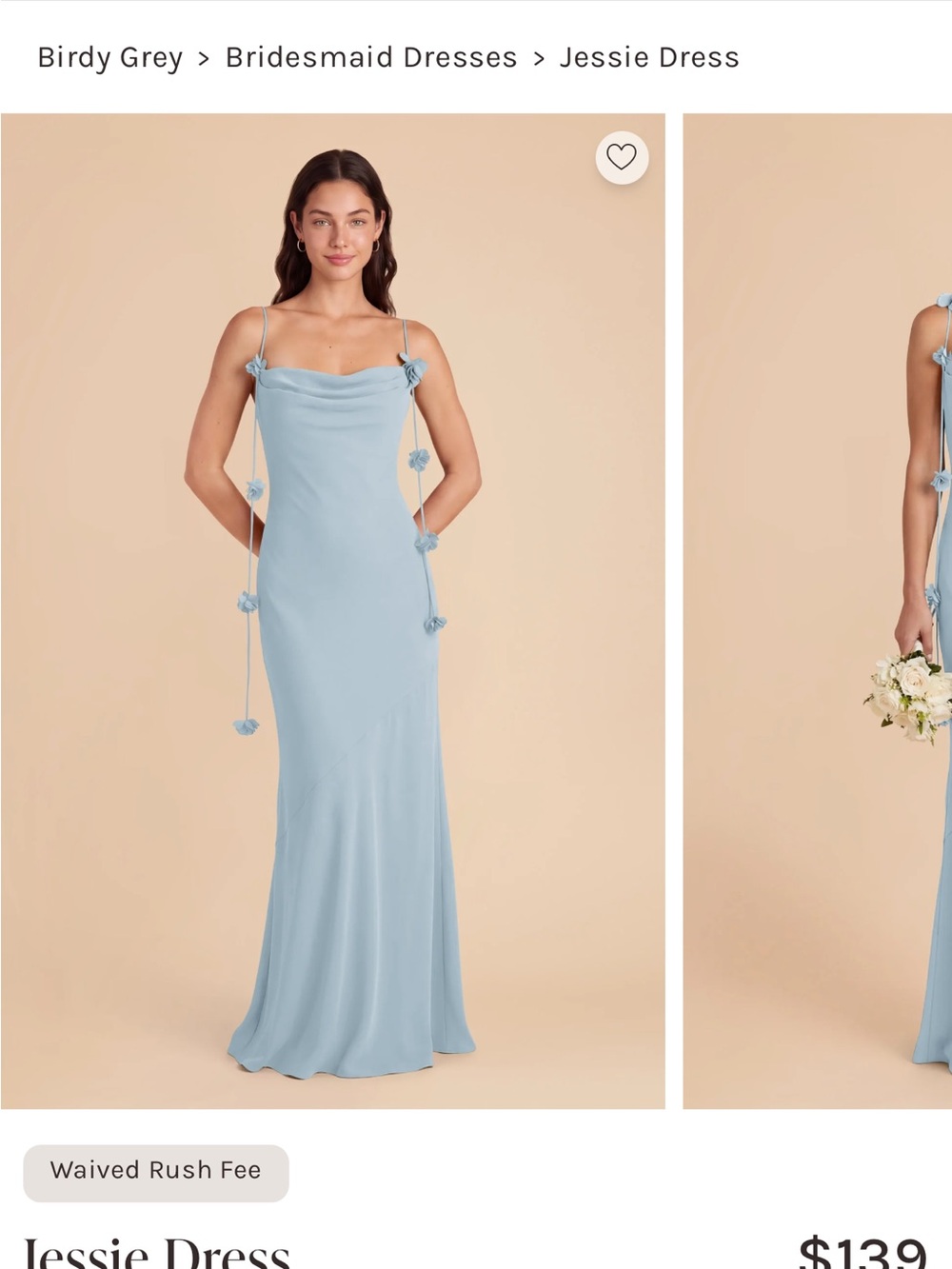 Birdy Grey Jessie Chiffon Dress in Sky Blue